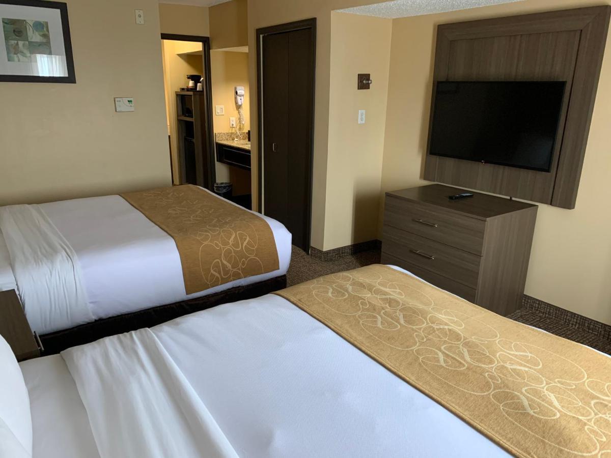 Comfort Suites Dfw Airport Irving Εξωτερικό φωτογραφία
