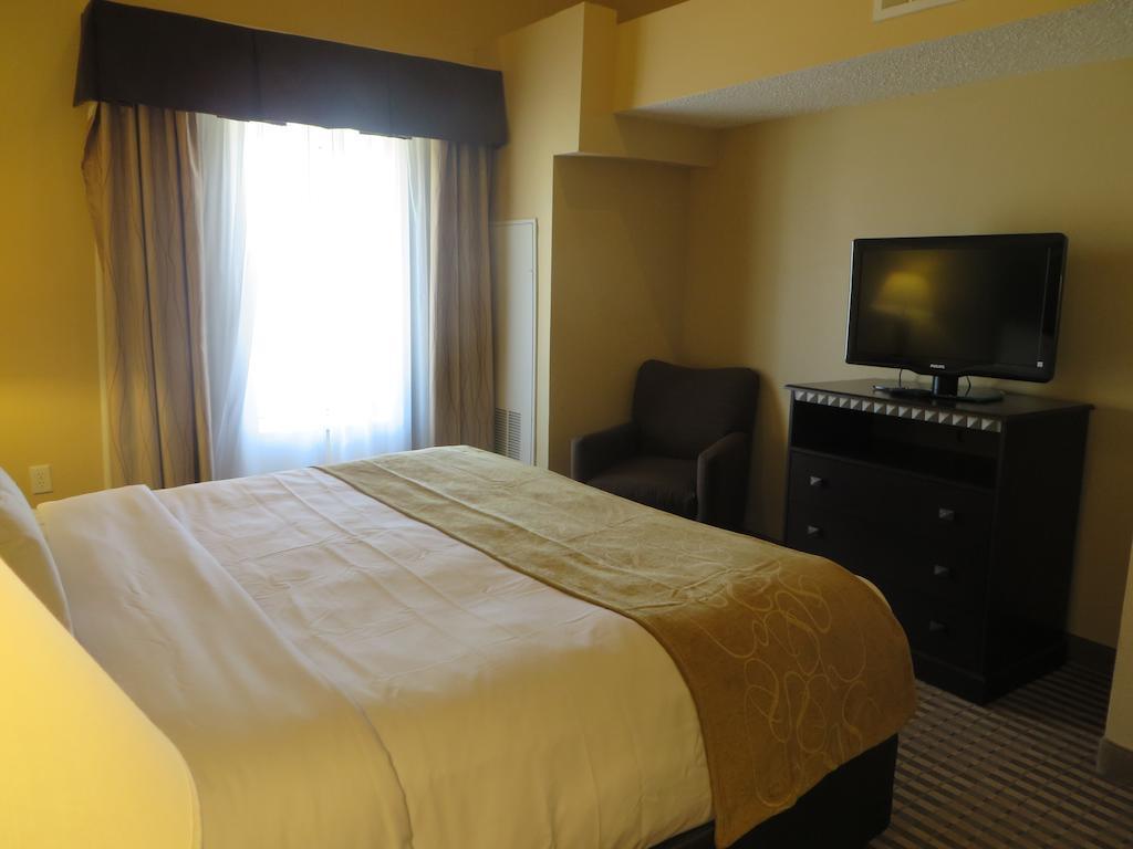 Comfort Suites Dfw Airport Irving Εξωτερικό φωτογραφία